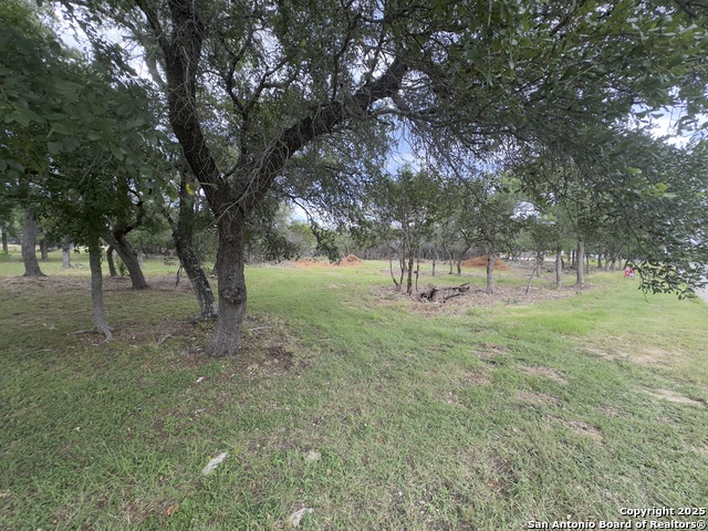 Image 5 of 16 For 31422 Stephanie Way