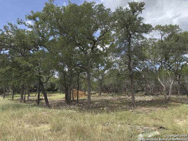 Image 8 of 16 For 31422 Stephanie Way