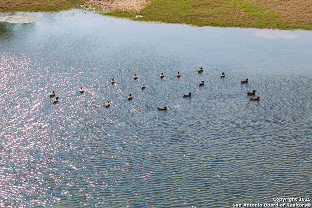 Image 43 of 43 For 2366 Comal Springs