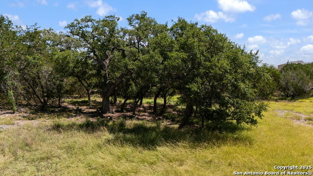 Image 9 of 27 For 1005 Buckskin Trail