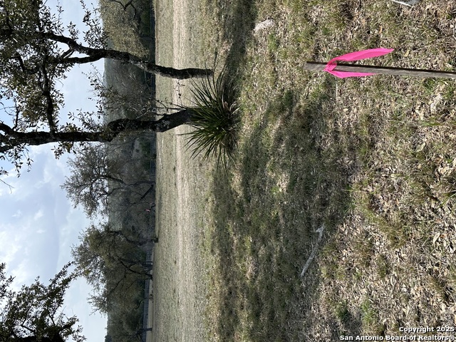 Image 21 of 25 For 205 Hidden Hills Cove