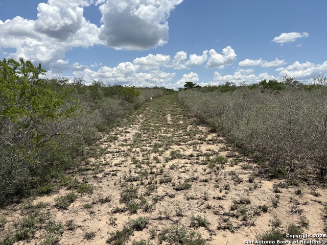 Image 13 of 18 For Tr102 Frontier A Rd