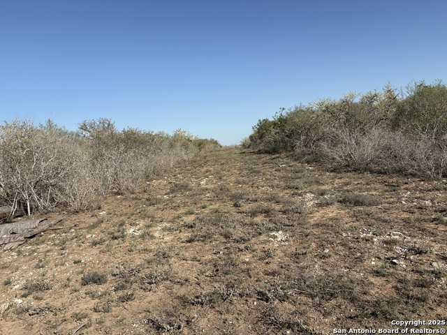 Image 8 of 18 For Tr102 Frontier A Rd