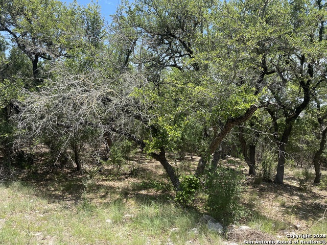 Image 9 of 21 For 1131 Rocky Ridge