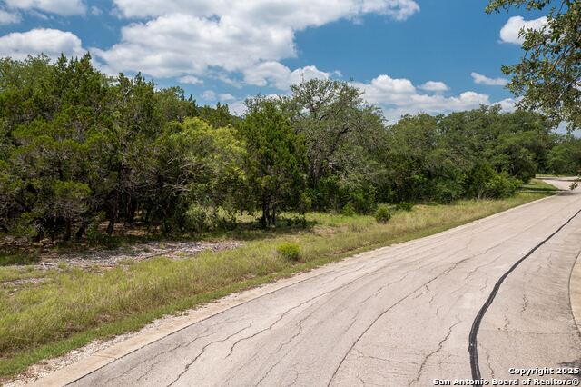 Listing photo id 4 for Lot 387 Pr 1742