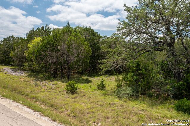 Listing photo id 7 for Lot 387 Pr 1742