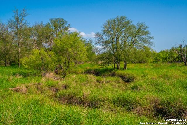 Listing photo id 22 for 0 Fm 1688  
