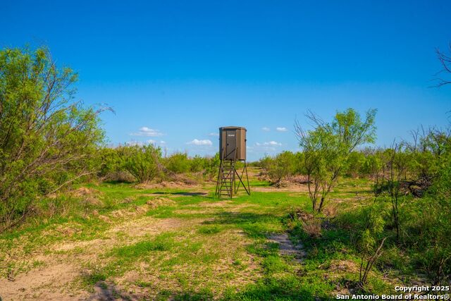 Listing photo id 23 for 0 Fm 1688  