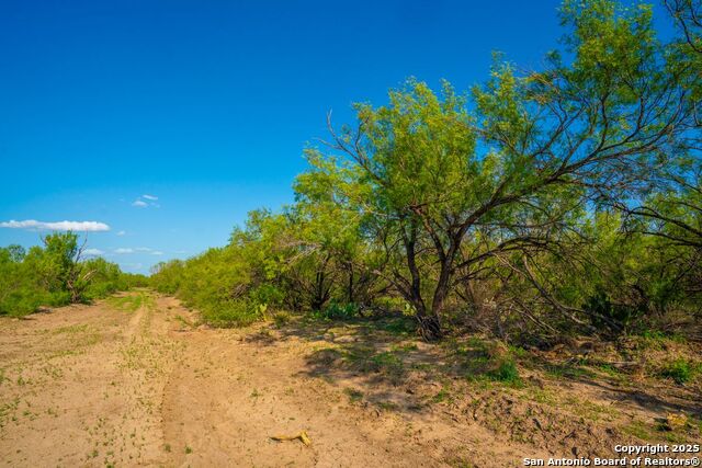 Listing photo id 27 for 0 Fm 1688  