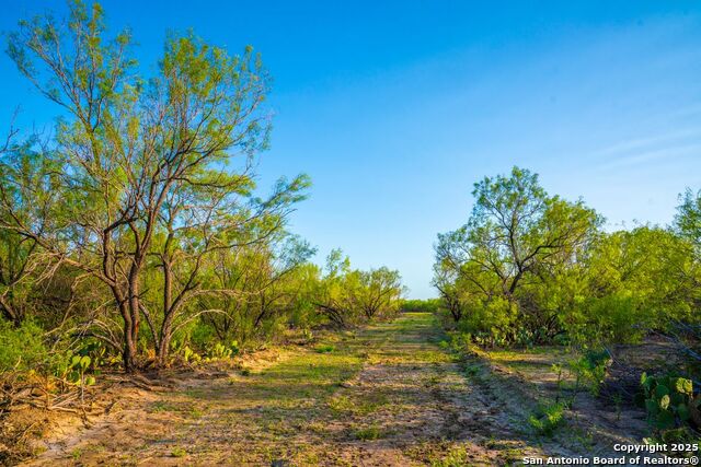 Listing photo id 35 for 0 Fm 1688  