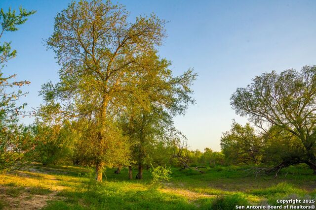 Listing photo id 43 for 0 Fm 1688  