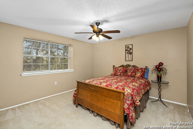 Listing photo id 28 for 9126 Points Edge