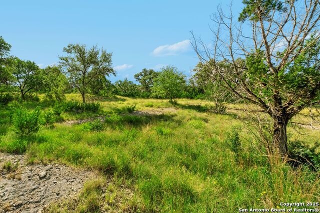 Image 2 of 12 For Lot 35 Riata Ranch