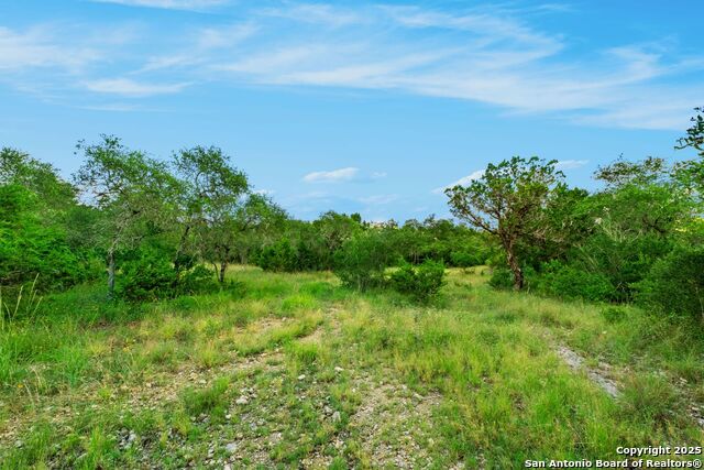 Image 4 of 12 For Lot 35 Riata Ranch