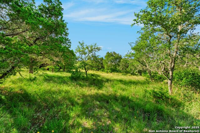 Image 5 of 12 For Lot 35 Riata Ranch