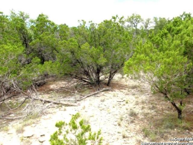Listing photo id 8 for Lakeridge Loop Lot 55