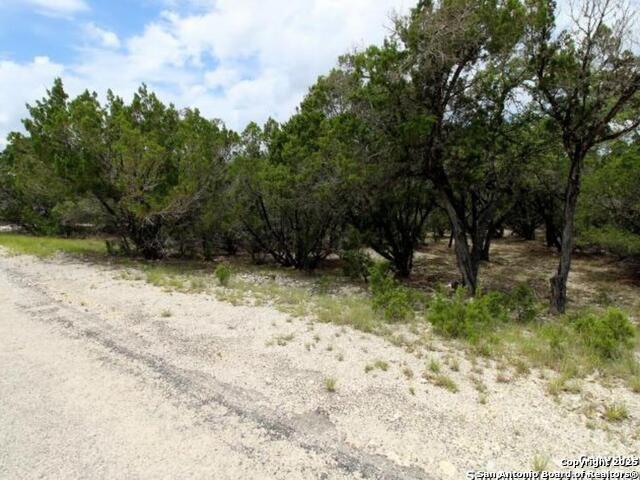 Listing photo id 2 for Lakeridge Loop Lot 55
