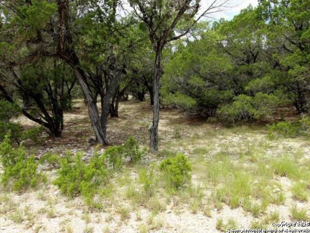 Listing photo id 3 for Lakeridge Loop Lot 55