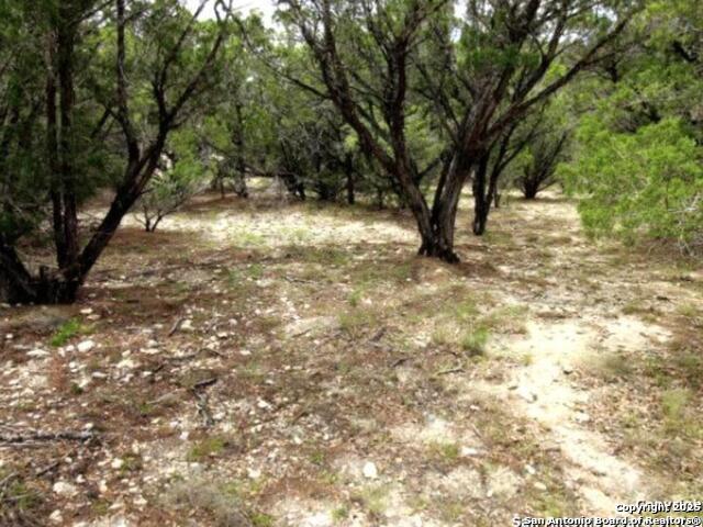 Listing photo id 4 for Lakeridge Loop Lot 55