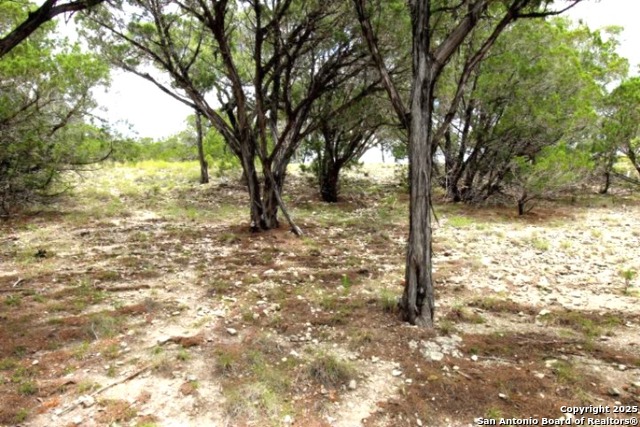 Listing photo id 6 for Lakeridge Loop Lot 55