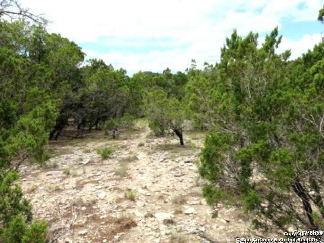 Listing photo id 7 for Lakeridge Loop Lot 55