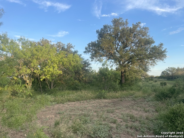 Details for Tbd County Road 445, Hondo, TX 78861