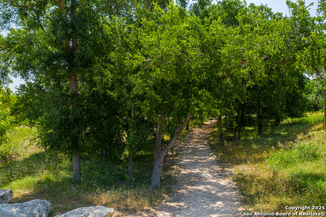 Image 13 of 17 For 12831 Dewberry Creek