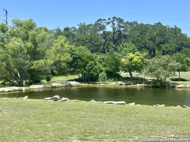 Image 11 of 11 For 3 Thunder Verde