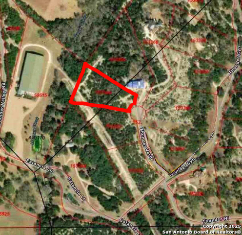 Image 2 of 11 For 3 Thunder Verde