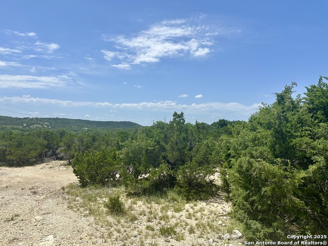 Image 4 of 11 For 3 Thunder Verde