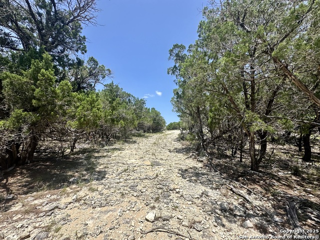 Image 6 of 11 For 3 Thunder Verde