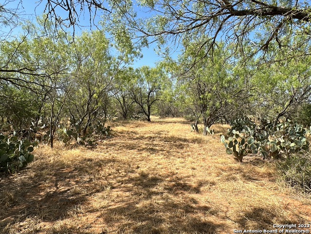 Image 6 of 9 For 134 Cr 2644  