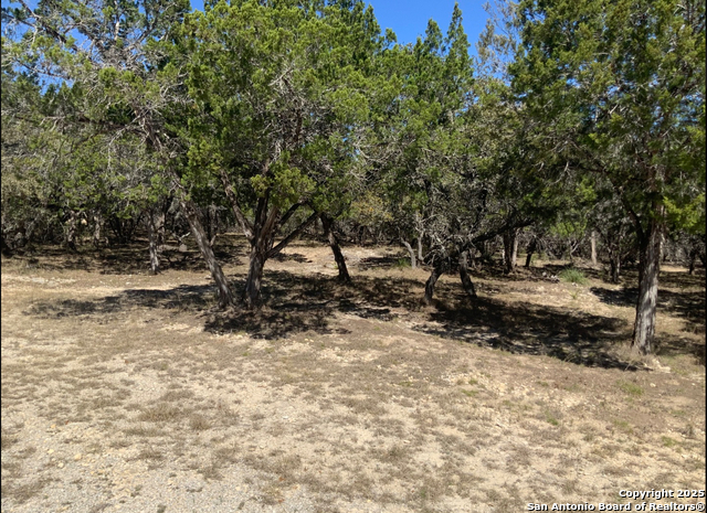 Image 9 of 13 For Lot #69 Forest Oaks