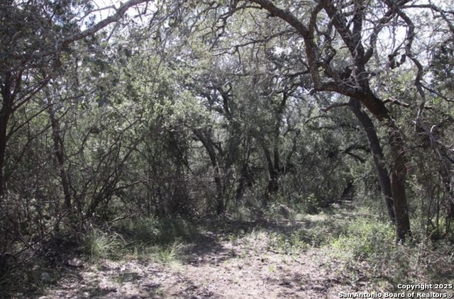 Listing photo id 24 for 0000 Rocksprings