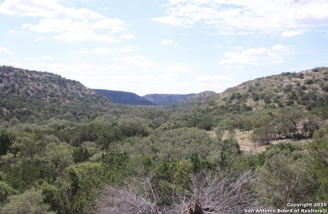 Listing photo id 25 for 0000 Rocksprings