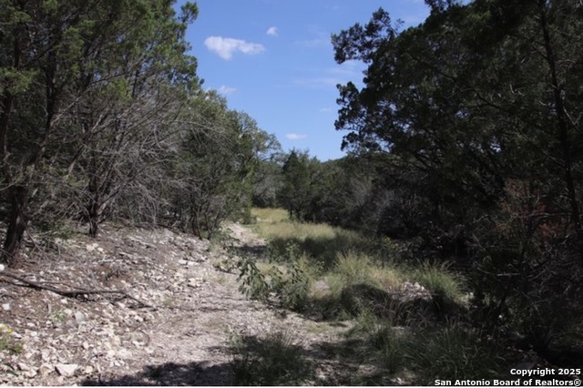 Listing photo id 26 for 0000 Rocksprings