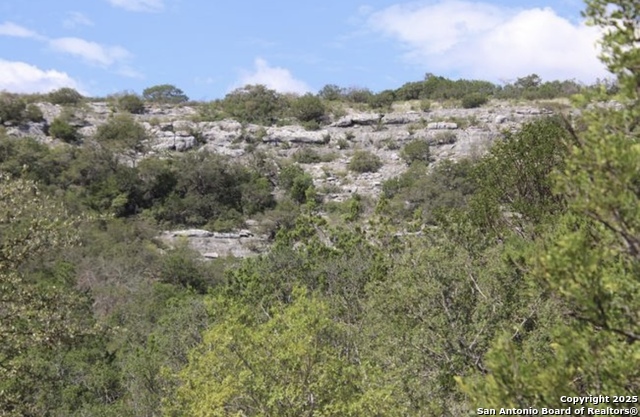 Listing photo id 30 for 0000 Rocksprings
