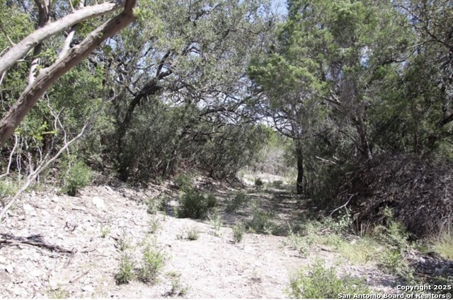 Listing photo id 31 for 0000 Rocksprings