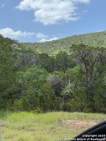 Details for 159 Valley Vista, Tarpley, TX 78883