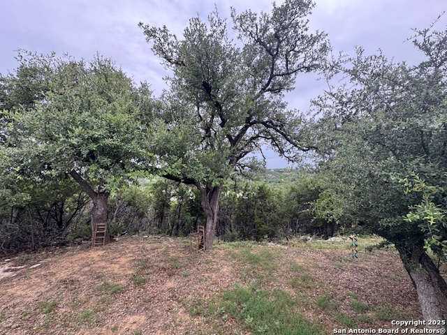 Image 14 of 17 For 833 Cimarron