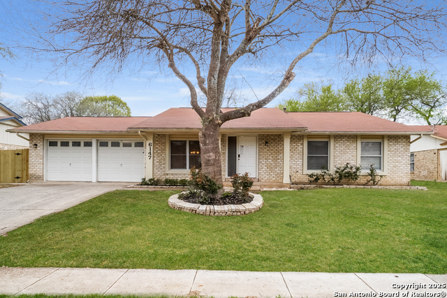 6147 Spring Time