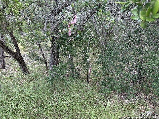 Image 7 of 19 For 571 Rayner Ranch