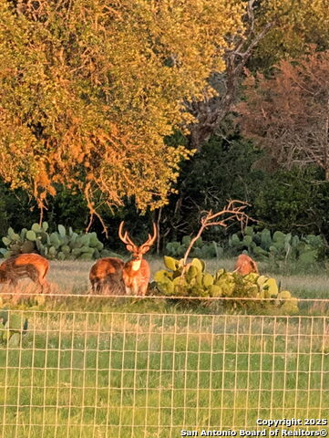 Image 26 of 26 For 121a Bartel  