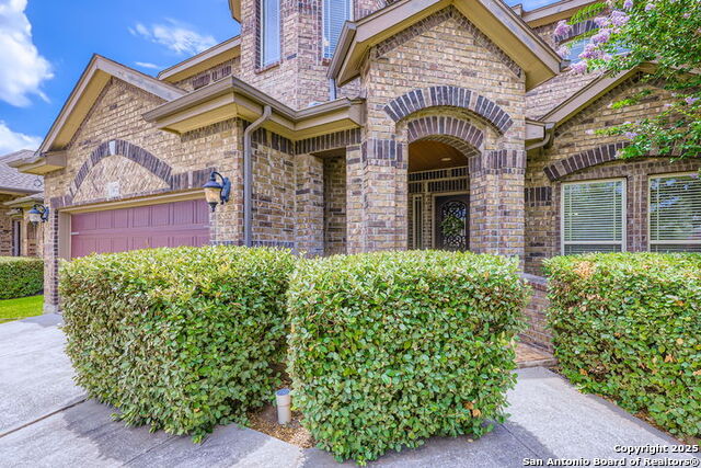 Image 2 of 37 For 14722 Rifleman