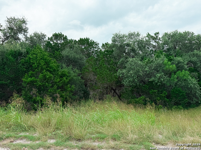 Details for 114 County Road 2475, Hondo, TX 78861