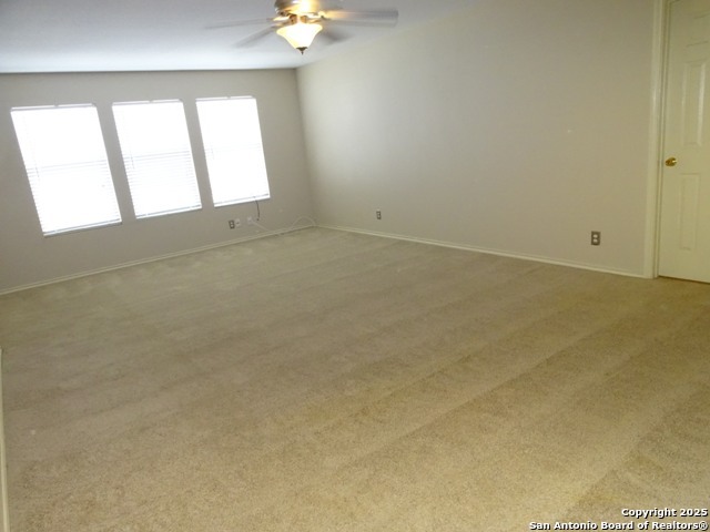 Image 11 of 27 For 161 Briar St.