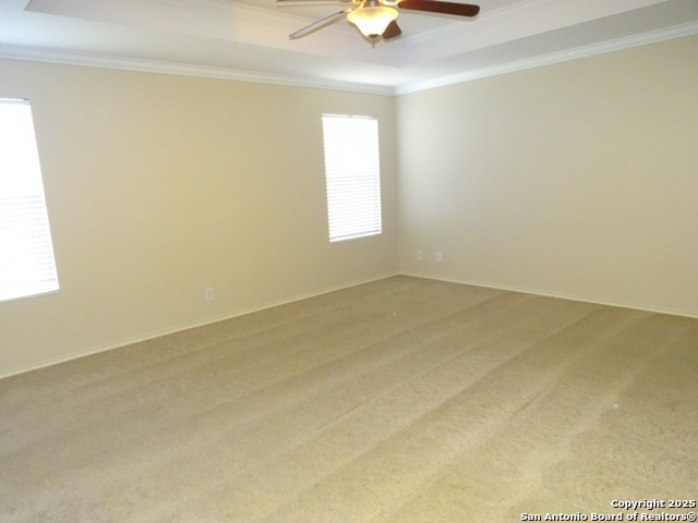 Image 12 of 27 For 161 Briar St.