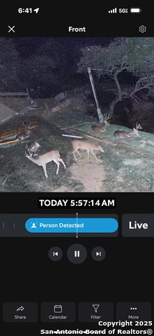 Listing photo id 36 for 482 Dusty Saddle