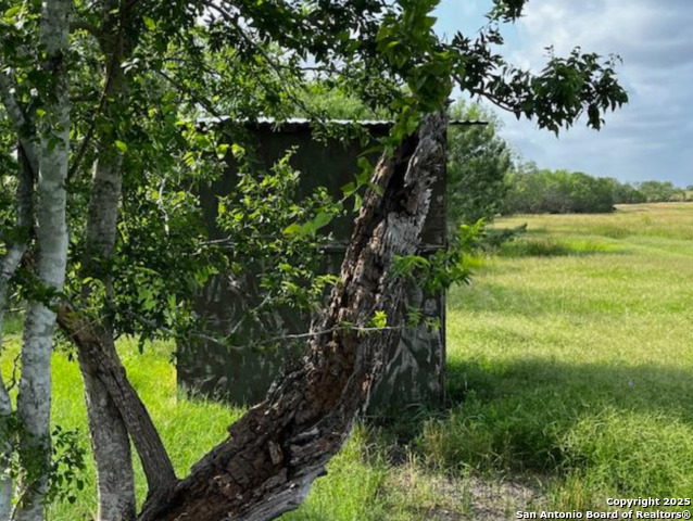 Listing photo id 27 for 1775 County Road 405