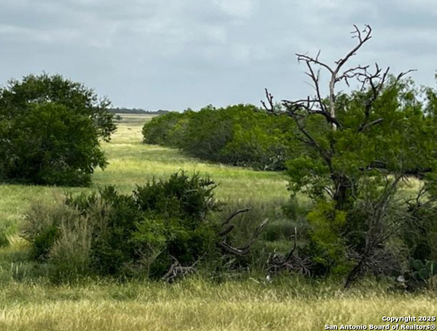 Listing photo id 29 for 1775 County Road 405